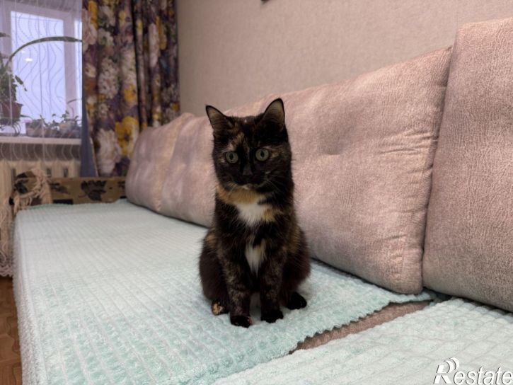 1-комн квартира Нефтекамск