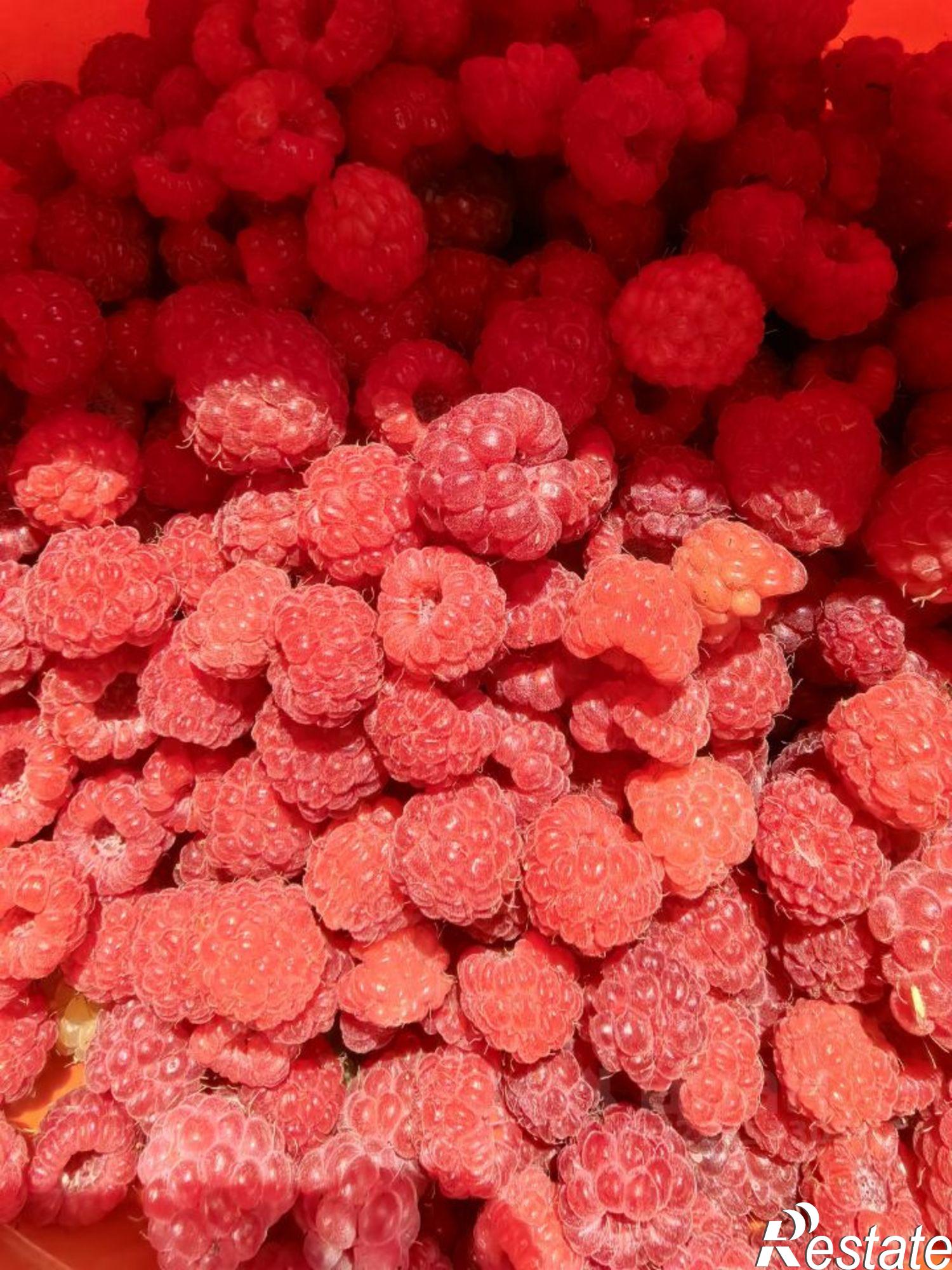 Купить дачу, дом, коттедж за 1 000 000 рублей